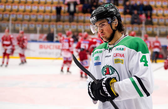 Rögles Alen Bibic deppar