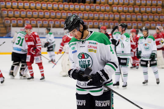Rögles Alen Bibic deppar