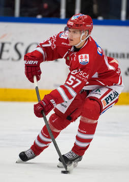 Timrås Anton Wedin