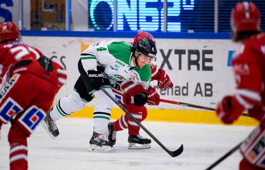 Rögles Alen Bibic