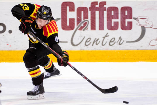 Brynäs Bill Sweatt