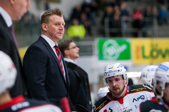 Malmös Assisterande Tränare Jesper Mattsson