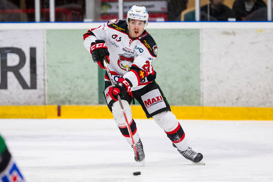 Malmös Henrik Hetta