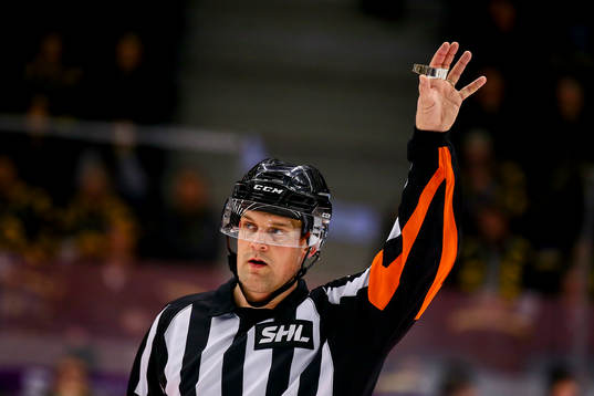 Domaren MIkael Nord
