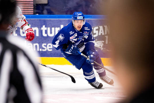 Leksands Robin Gartner