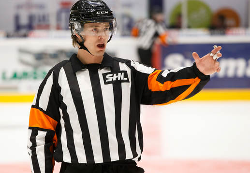 Domare Mikael Andersson