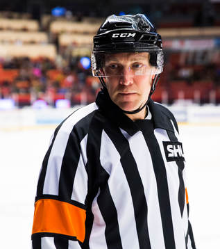 Domare Morgan Johansson