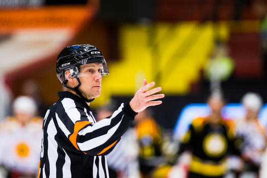 Domare Morgan Johansson