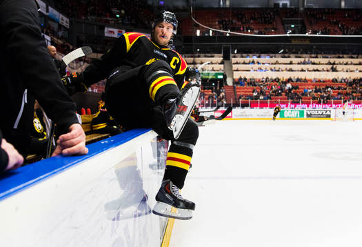 Brynäs Niclas Andersén