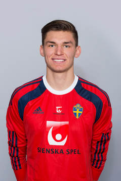Hampus Strömgren, Sverige