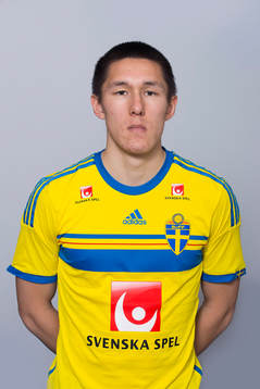 Johan Ramhorn, Sverige