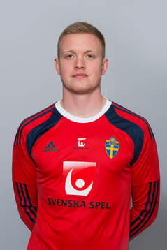 Tim Erlandsson, Sverige