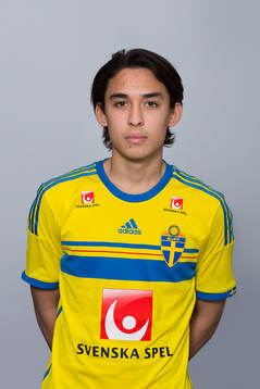 Sebastian Lundbäck, Sverige