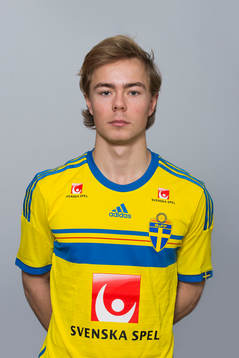 Adam Andersson, Sverige