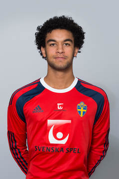 Sixten Mohlin, Sverige