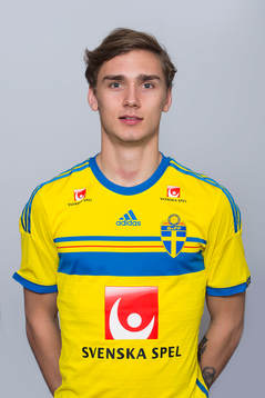 Linus Wahlqvist, Sverige