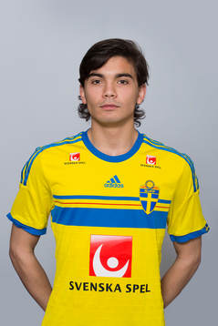 Martin Johansson Zanjanchi, Sverige
