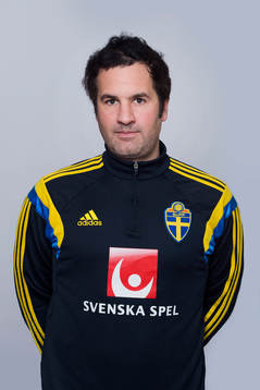 Benjamin Westman, Sverige