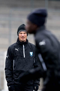 Malmö FFs Markus Rosenberg