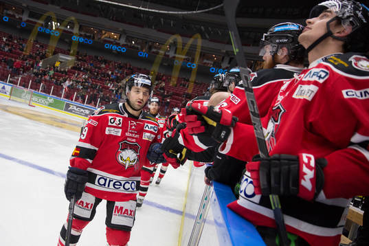 Malmö Redhawks Eric Himelfarb jublar med sina kamrater