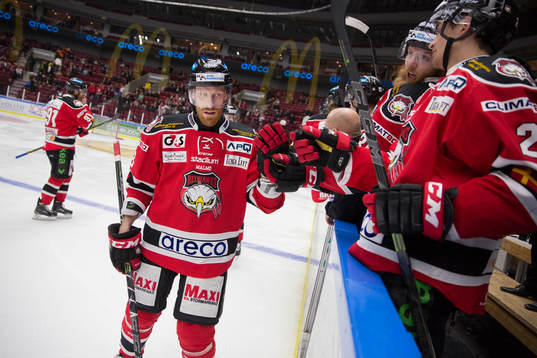 Malmö Redhawks Jens Olsson (28) jublar med sina kamrater
