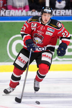 Malmö Redhawks Sebastian Strandberg
