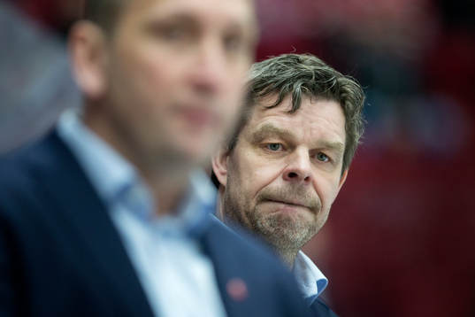 Vita Hästens tränare Niklas Czarnecki