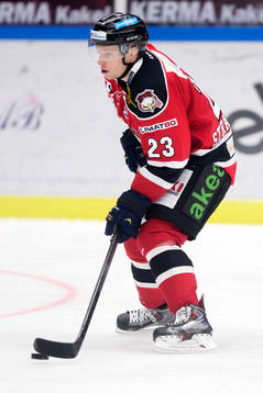 Malmö Redhawks Sebastian Strandberg
