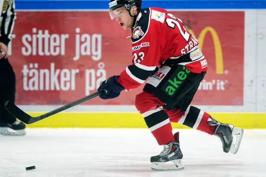 Malmö Redhawks Sebastian Strandberg