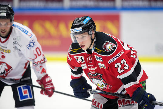Malmö Redhawks Sebastian Strandberg