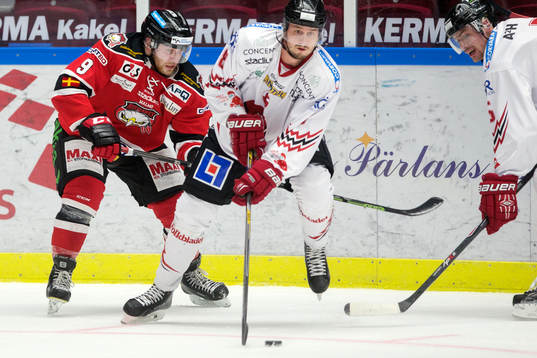 Malmö Redhawks Frederik Storm och Vita Hästens Linus