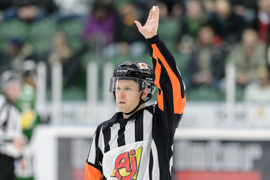 Domare Filip Sandstedt