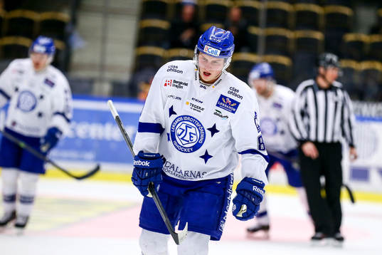 Leksands David Åslin