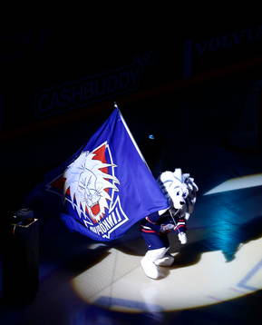 Linköpings maskot Sture