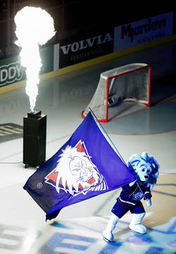 Linköpings maskot Sture