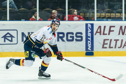 Djurgården Damien Fleury