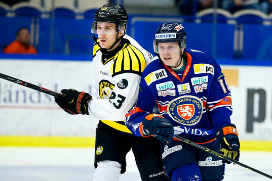 Brynäs Bill Sweatt