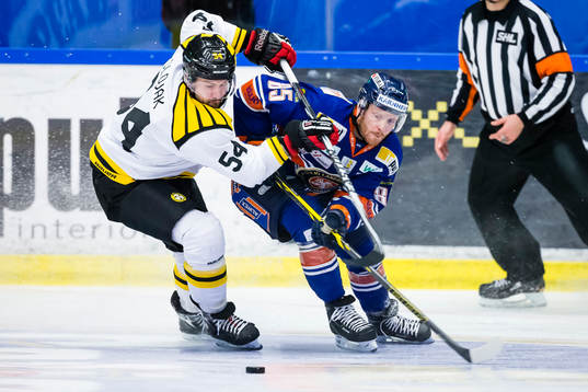 Brynäs Tomas Slovak