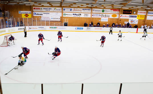 Överblick från läktaren i Ånäshallen