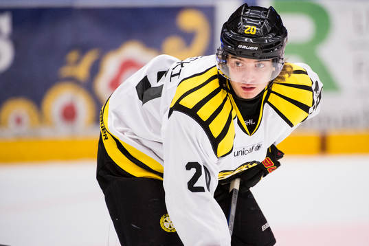 Brynäs Adam Brodecki