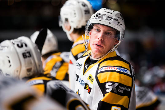 Skellefteås Niclas Burström