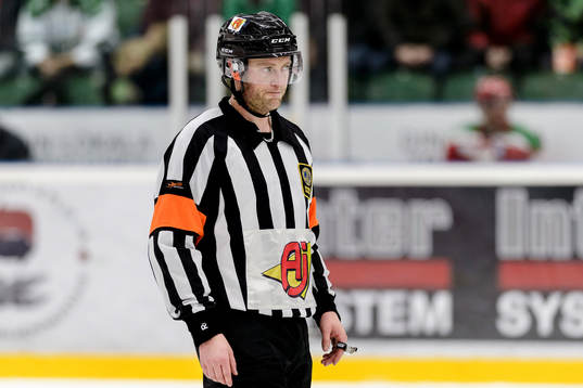 Domare Robin Karlsson