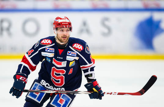 Södertäljes Michal Gulasi