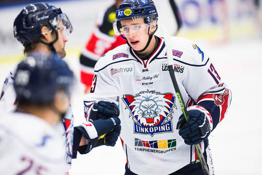 Linköpings Jakub Vrana jublar