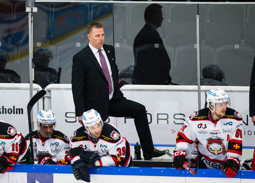 Malmö Redhawks tränare Mats Lusth