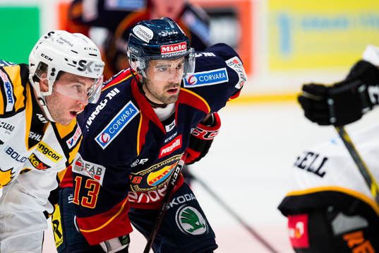 Djurgårdens Damien Fleury