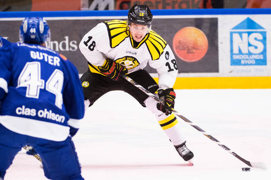 Brynäs Anton Rödin