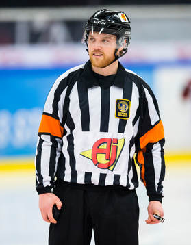 Domare Johan Häll