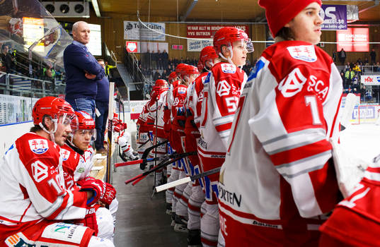 Timrås tränare Roger Forsberg med spelarna i båset