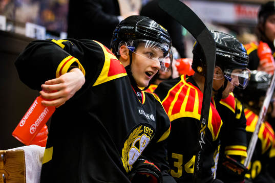 Brynäs Daniel Mannberg
